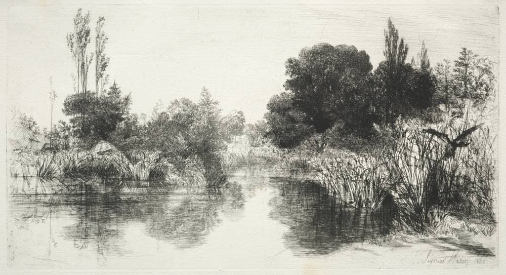 Share Mill Pond — Francis Seymour Haden