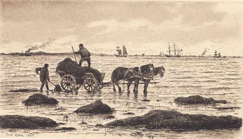 Bønder kører tang — Carl Locher