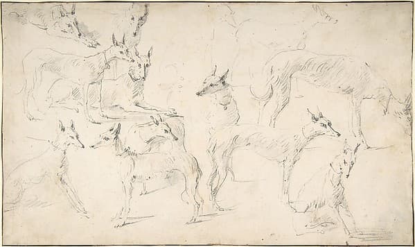 Studies of Hounds — David Teniers the Younger