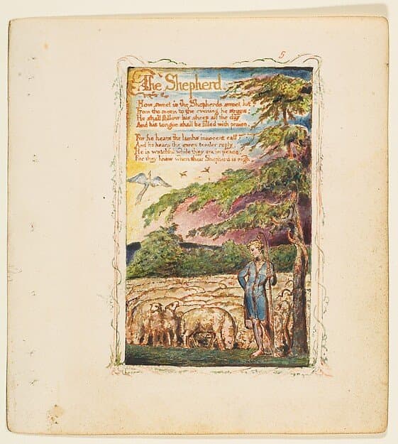 Songs of Innocence: The Shepherd — William Blake
