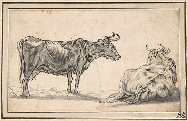 Study of Two Cows — Aelbert Cuyp