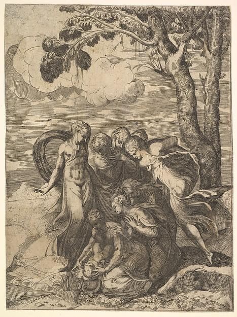 Moses Rescued from the Nile — Battista Angolo del Moro