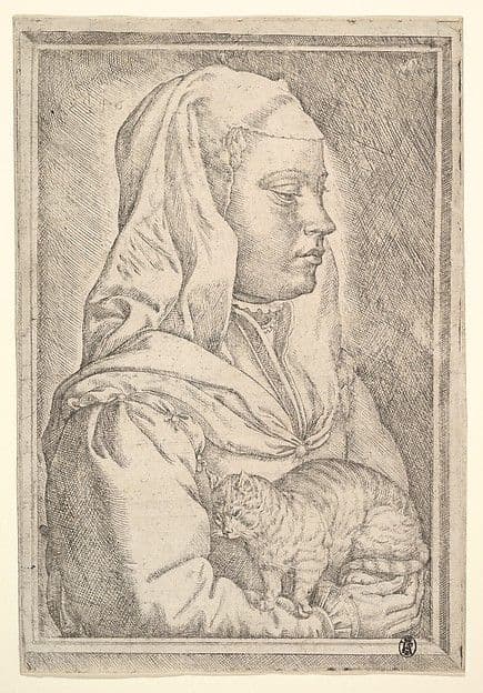 Girl with a Cat — Jan Cornelisz Vermeyen