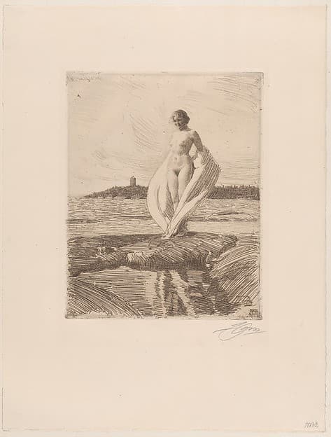 The Swan — Anders Zorn