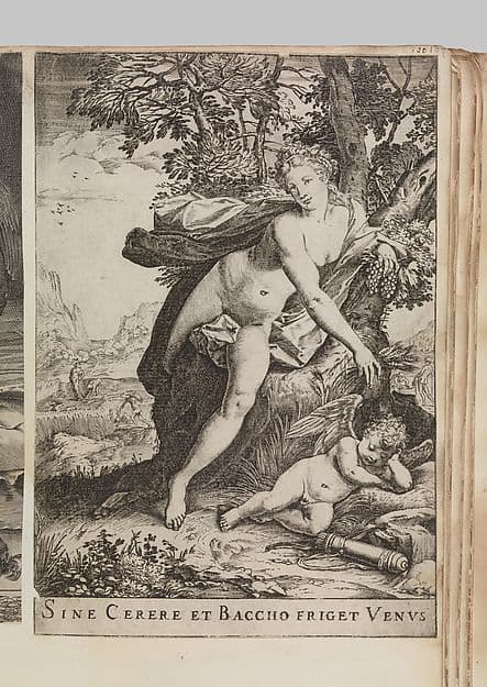 Sine Cerere et Baccho Friget Venus — Agostino Carracci