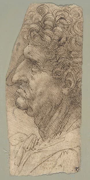 Head of a Man in Profile Facing to the Left — Leonardo da Vinci