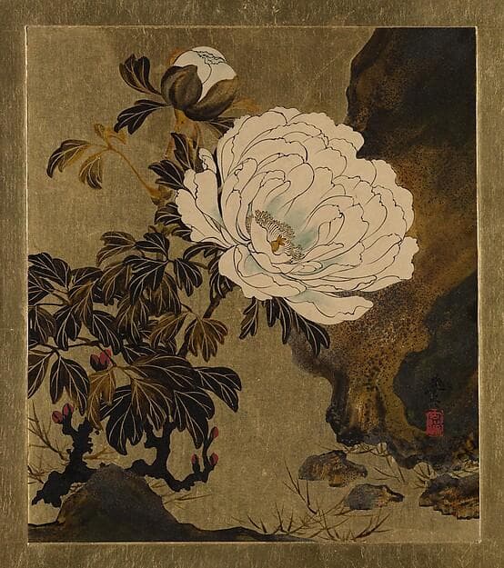 Lacquer Paintings of Various Subjects: Peonies — Shibata Zeshin