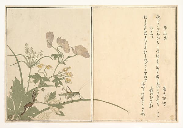 Katydid (Umaoi-mushi); Centipede, (Mukade), from the Picture Book of Crawling Creatures (Ehon mushi erami) — Utamaro