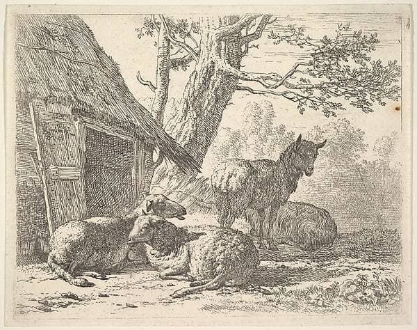 Four sheep, one sheep stands among three others lying on the ground next to a shed with thatched roof and open door — Karel Dujardin
