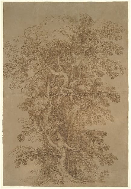 A Large Tree — Salvator Rosa