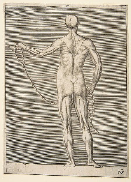 Flayed man seen from behind, holding a rope — Giulio Bonasone