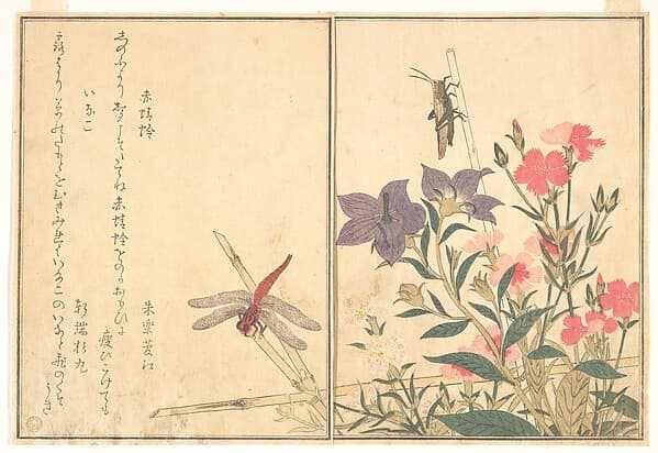 Red Dragonfly (Akatonbo); Locust (Inago), from the Picture Book of Crawling Creatures (Ehon mushi erami) — Utamaro