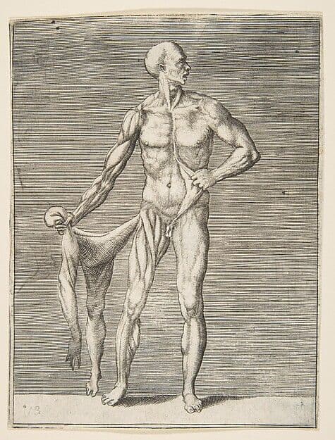 Flayed man seen from the front, holding the skin of his right arm and leg — Giulio Bonasone