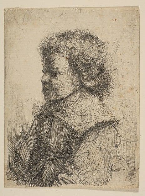 Portrait of a Boy, in Profile — Rembrandt van Rijn