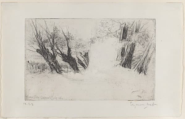 The Lovers' Walk, No. 1 — Francis Seymour Haden