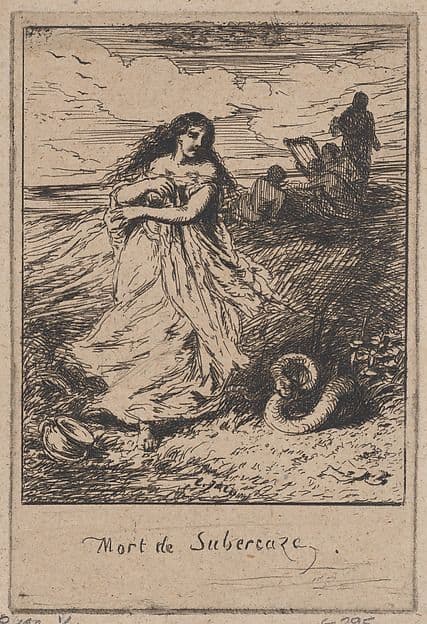 Death of Subercaze — Charles Émile Jacque