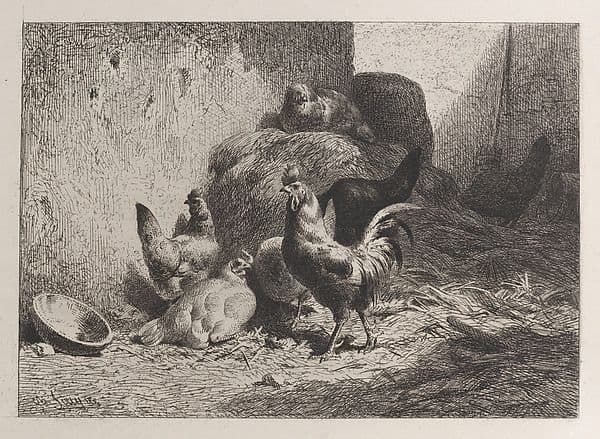 Rooster and Hens — Charles Émile Jacque