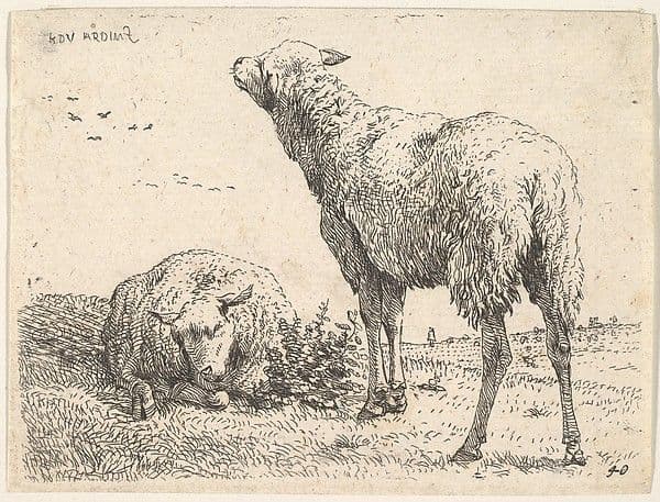 Two sheep, one shown frontally in a reclining position with its legs folded underneath the body, to the right a standing sheep shown from behind in three-quarters view, a grassy field below them and beyond — Karel Dujardin