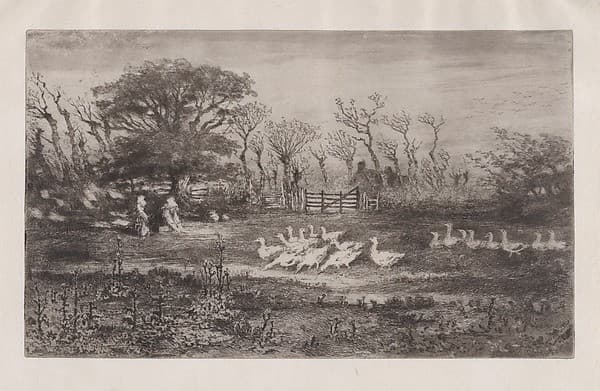 Geese — Félix-Hilaire Buhot