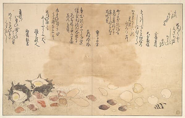 Shells under Water — Utamaro