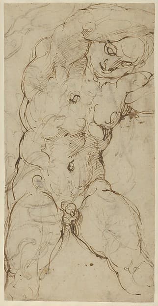 Seated Nude Male Figure (recto); Ornamental Designs of Foliage, a Grotesque Head, and a Leg (verso) — Agostino Carracci