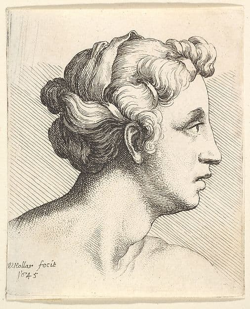 Woman with a bound tress of hair in profile to right — Wenceslaus Hollar