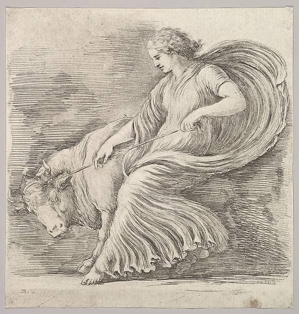 A woman in profile pulling back on a rope tied around the horns of a young bull — Stefano Della Bella