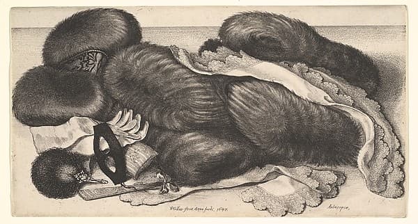 Muffs and Articles of Clothing on a Table — Wenceslaus Hollar