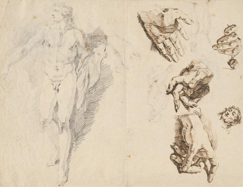 Apollo and Studies of the Artist's Own Hand [recto] — Francesco Fontebasso