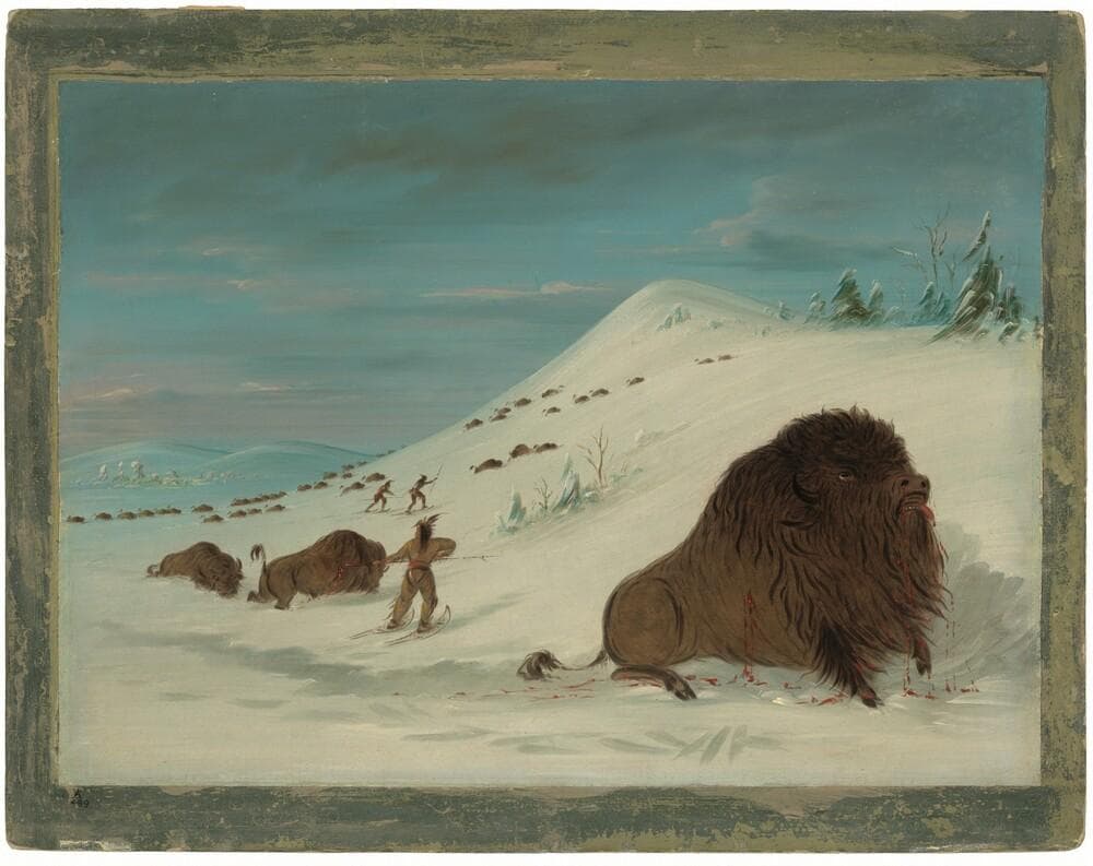 Buffalo Lancing in the Snow Drifts - Sioux — George Catlin