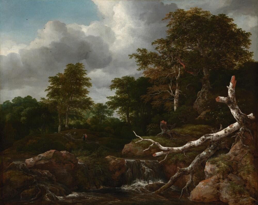 Forest Scene — Jacob van Ruisdael