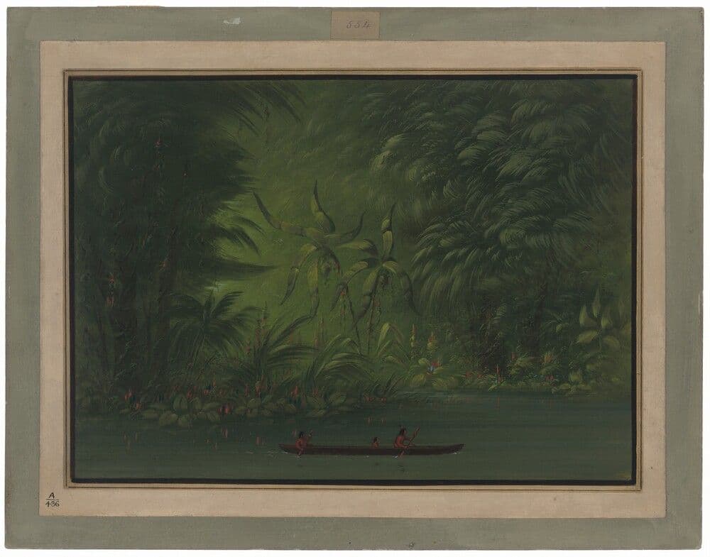 Entrance to a Lagoon, Shore of the Amazon — George Catlin