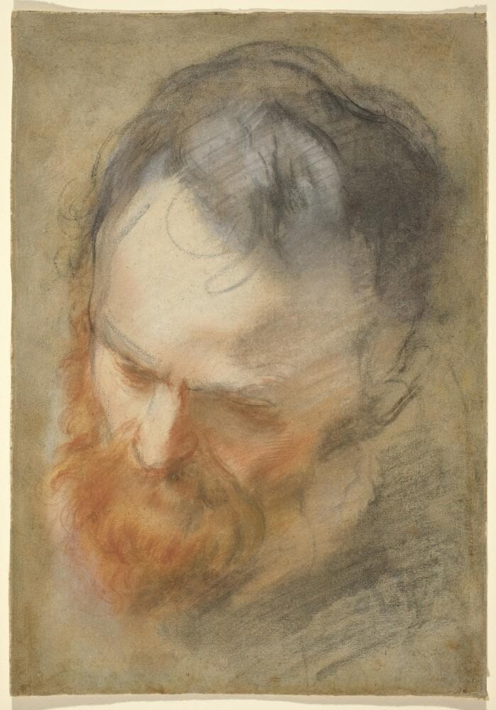 Head of a Bearded Man — Federico Barocci