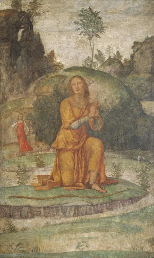 Procris' Prayer to Diana — Bernardino Luini