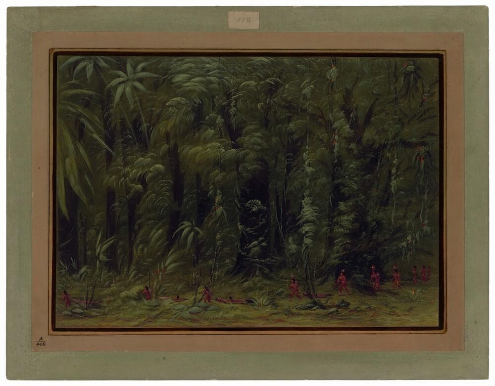 Interior of an Amazon Forest - Zurumati — George Catlin