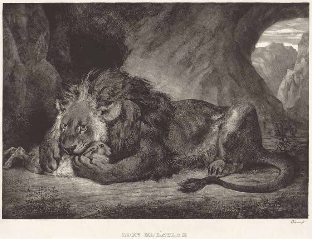 Lion of the Atlas Mountains (Lion de l'Atlas) — Eugène Delacroix