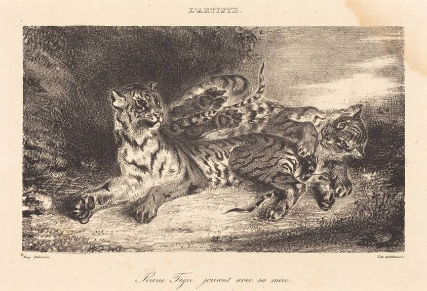 Young Tiger Playing with its Mother (Jeune tigre jouant avec sa mère) — Eugène Delacroix