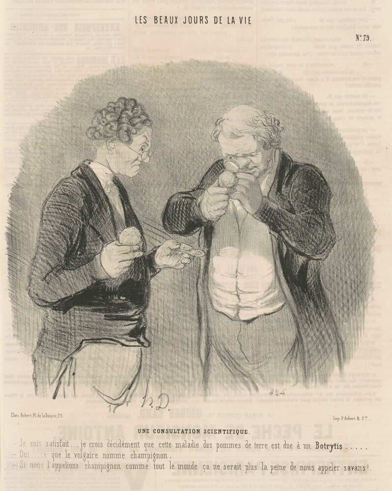 Une consultation scientifique — Honoré Daumier