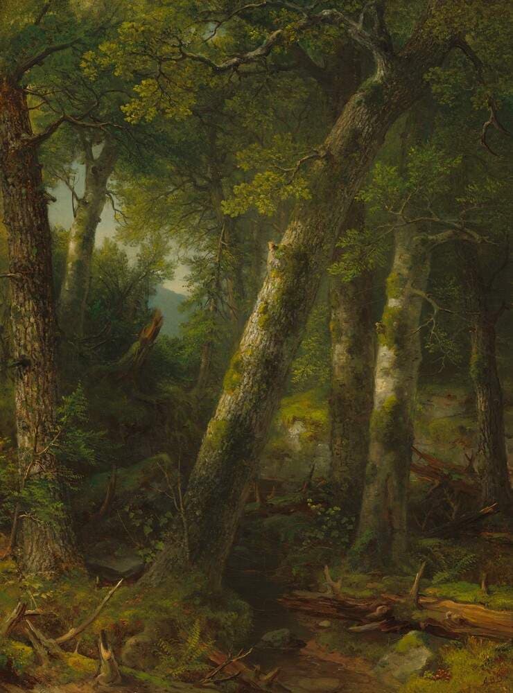Forest in the Morning Light — Asher Brown Durand