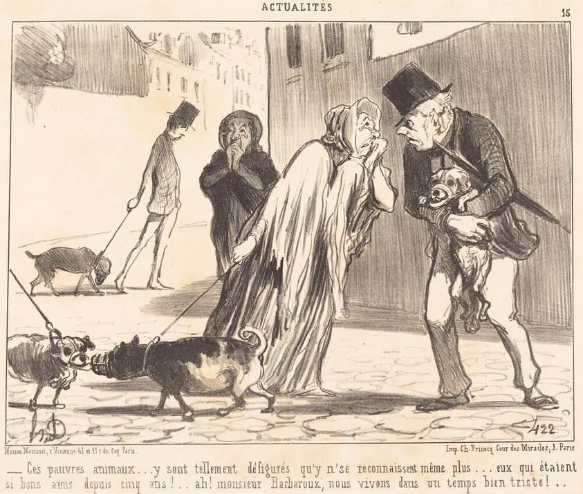Ces pauvres animaux... n'se reconnaissent... plus... — Honoré Daumier