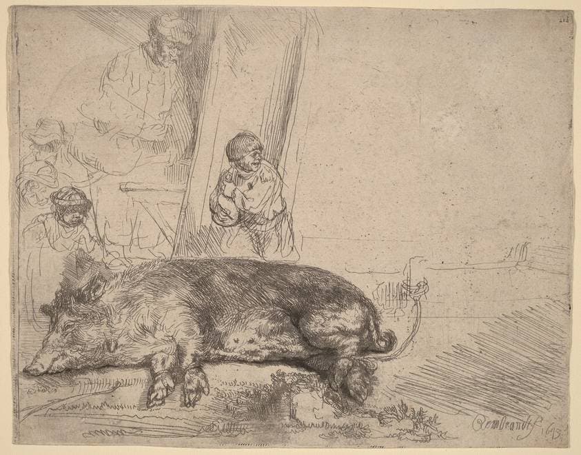 The Hog — Rembrandt van Rijn