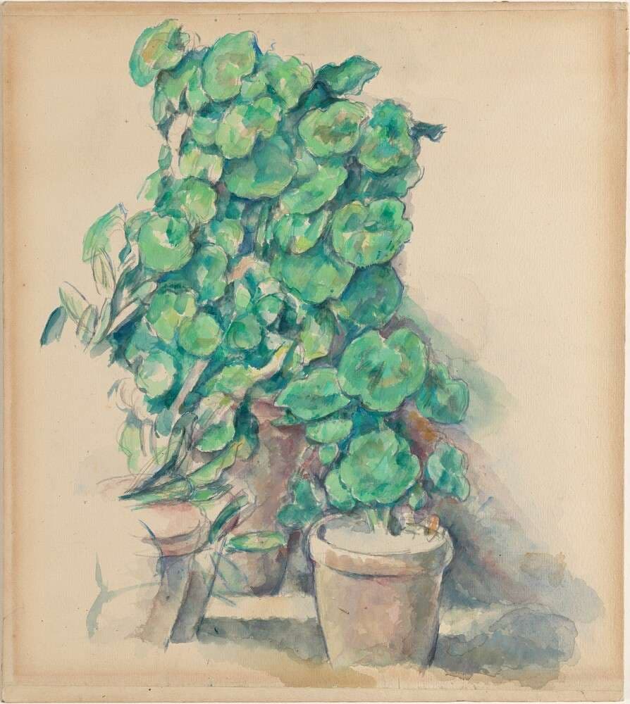 Geraniums — Paul Cézanne