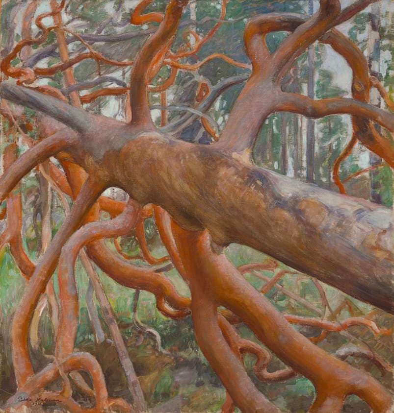 Great Pine of Kotavuori — Pekka Halonen