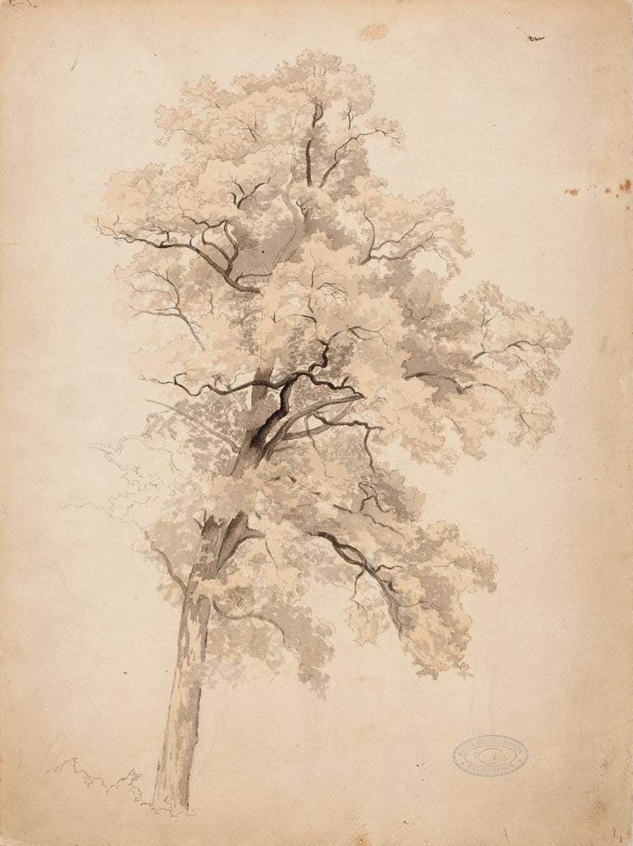 Lehtipuu — Werner Holmberg