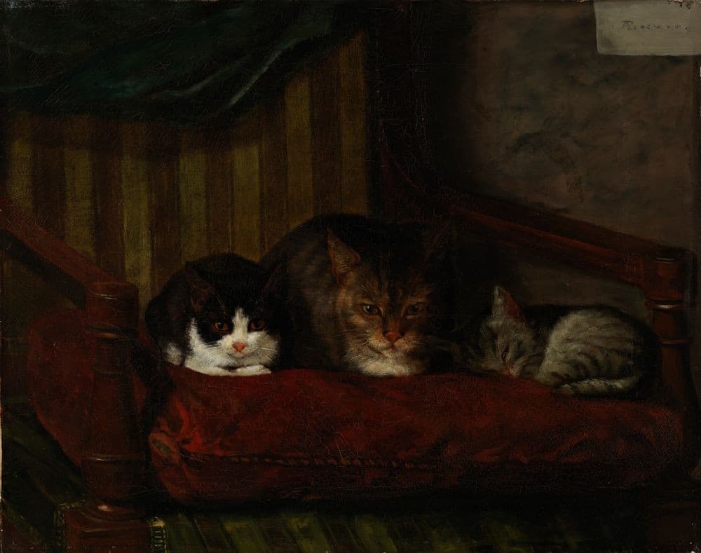 Cat with Kittens — Adolf von Becker