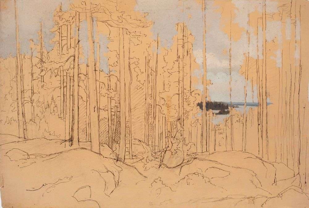 Männikkö lähellä järvenrantaa ; aloitettu öljymaalaus — Werner Holmberg