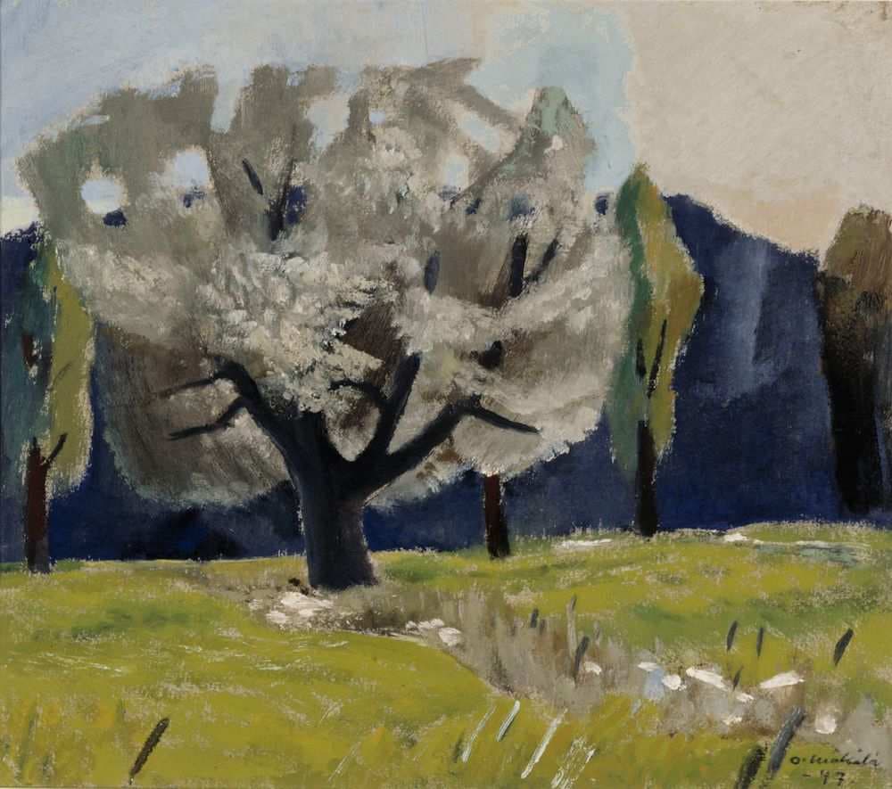 White poplar — Otto Mäkilä