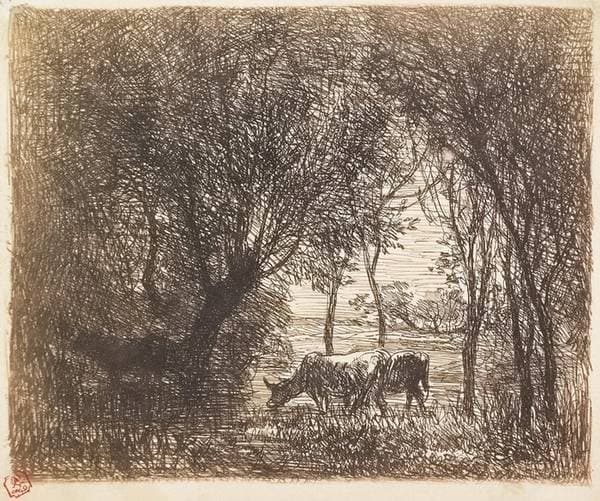Vaches sous bois — Charles-François Daubigny