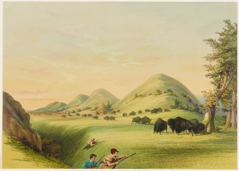 Buffaol Hunt, Approaching in a Ravine — George Catlin