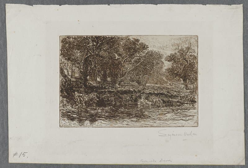 A River-Side, Devon — Francis Seymour Haden